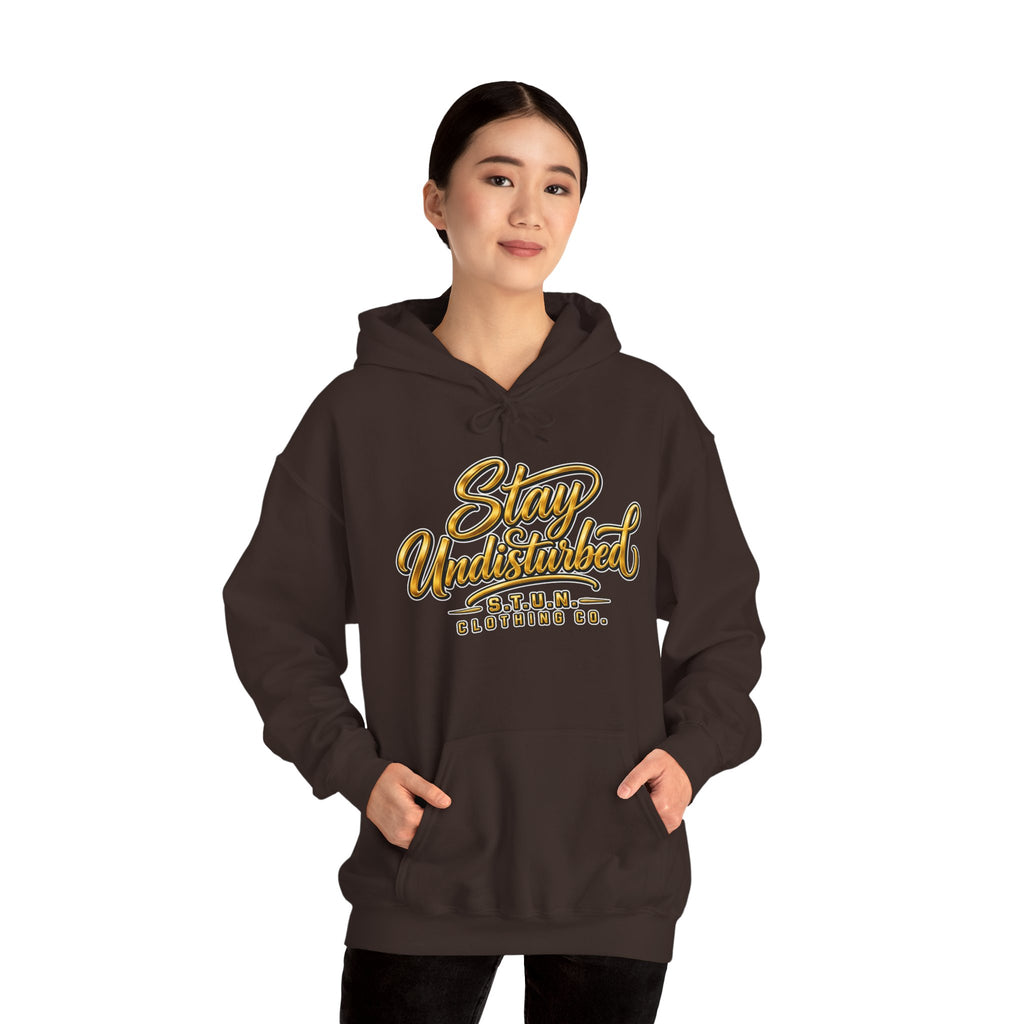 Mountain "Stay Undisturbed"Hoodie, Unisex