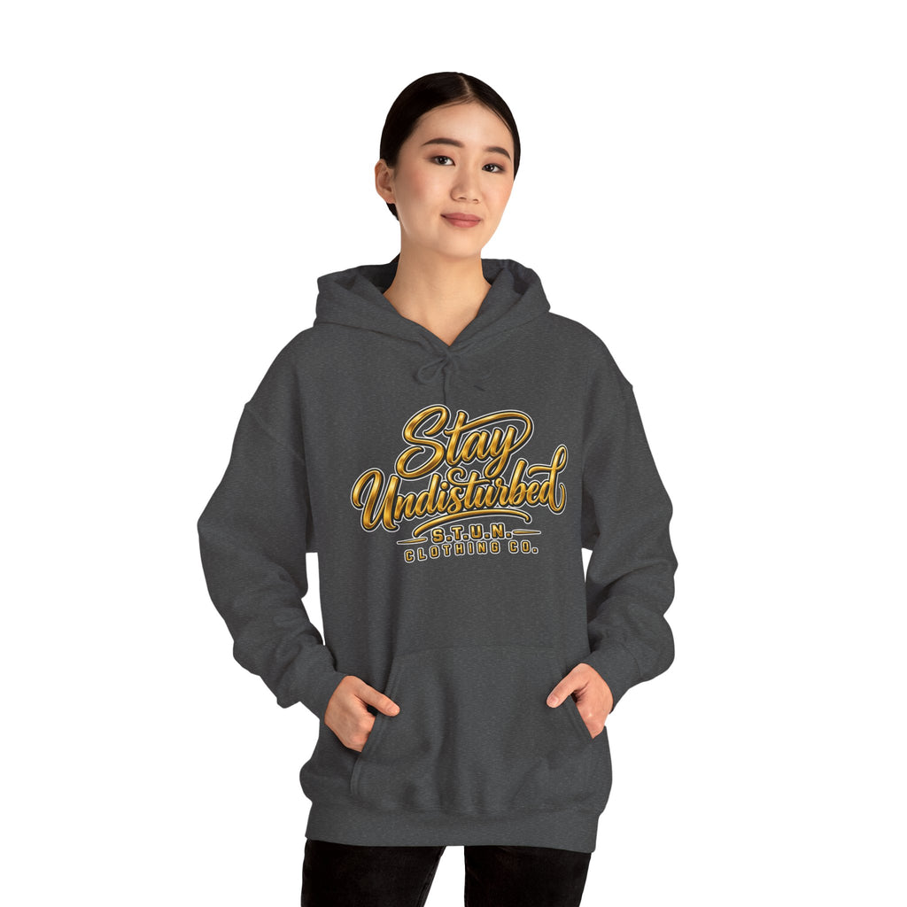 Mountain "Stay Undisturbed"Hoodie, Unisex