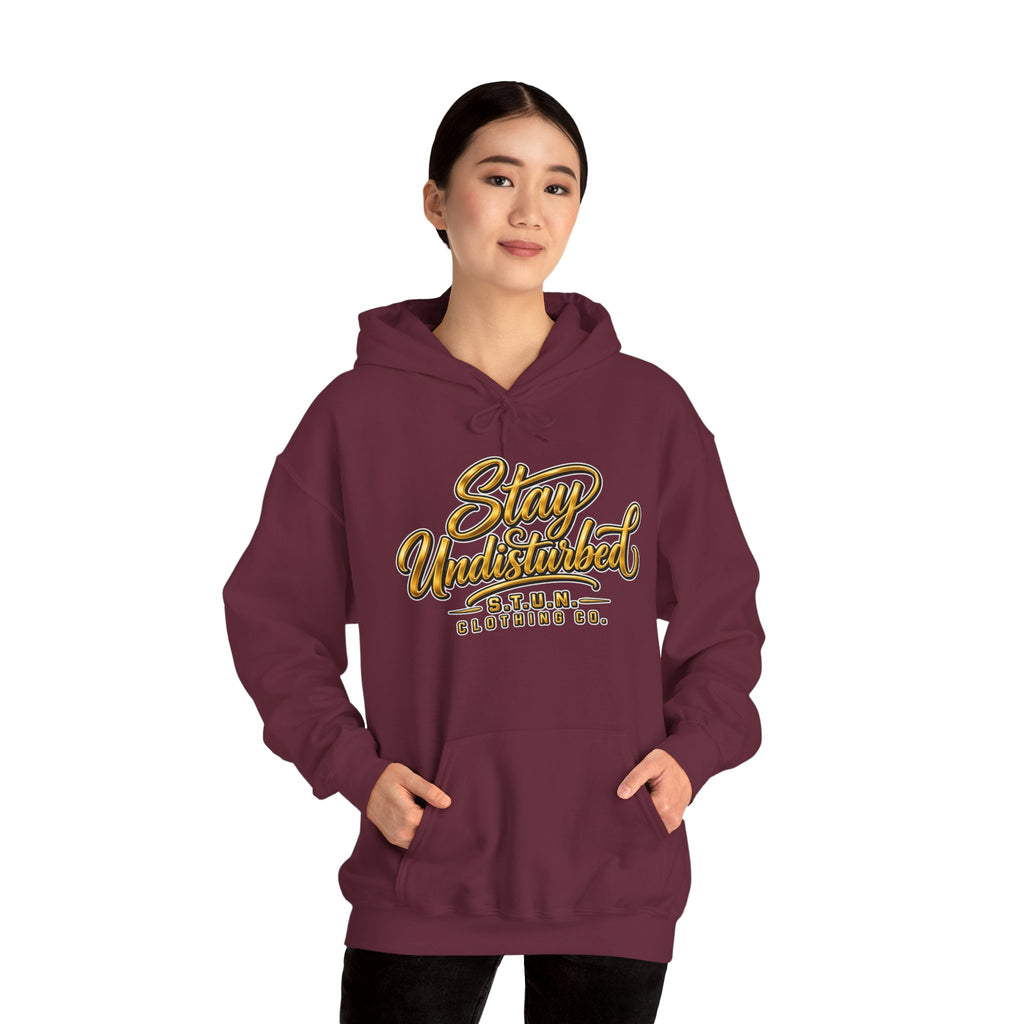 Mountain "Stay Undisturbed"Hoodie, Unisex