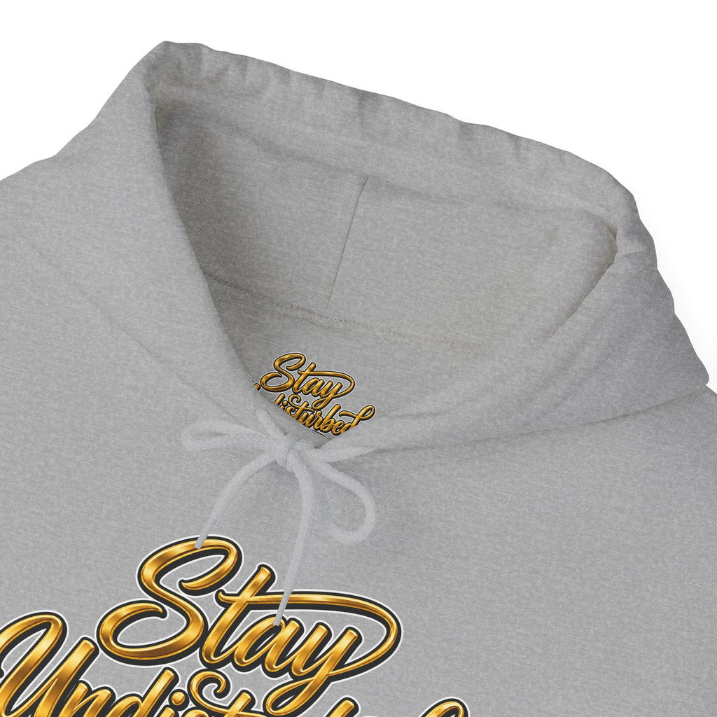 Mountain "Stay Undisturbed"Hoodie, Unisex